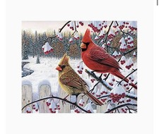 Cardinals Diamond Art Diamond Painting 35 x 45 cm NEW Round Drill