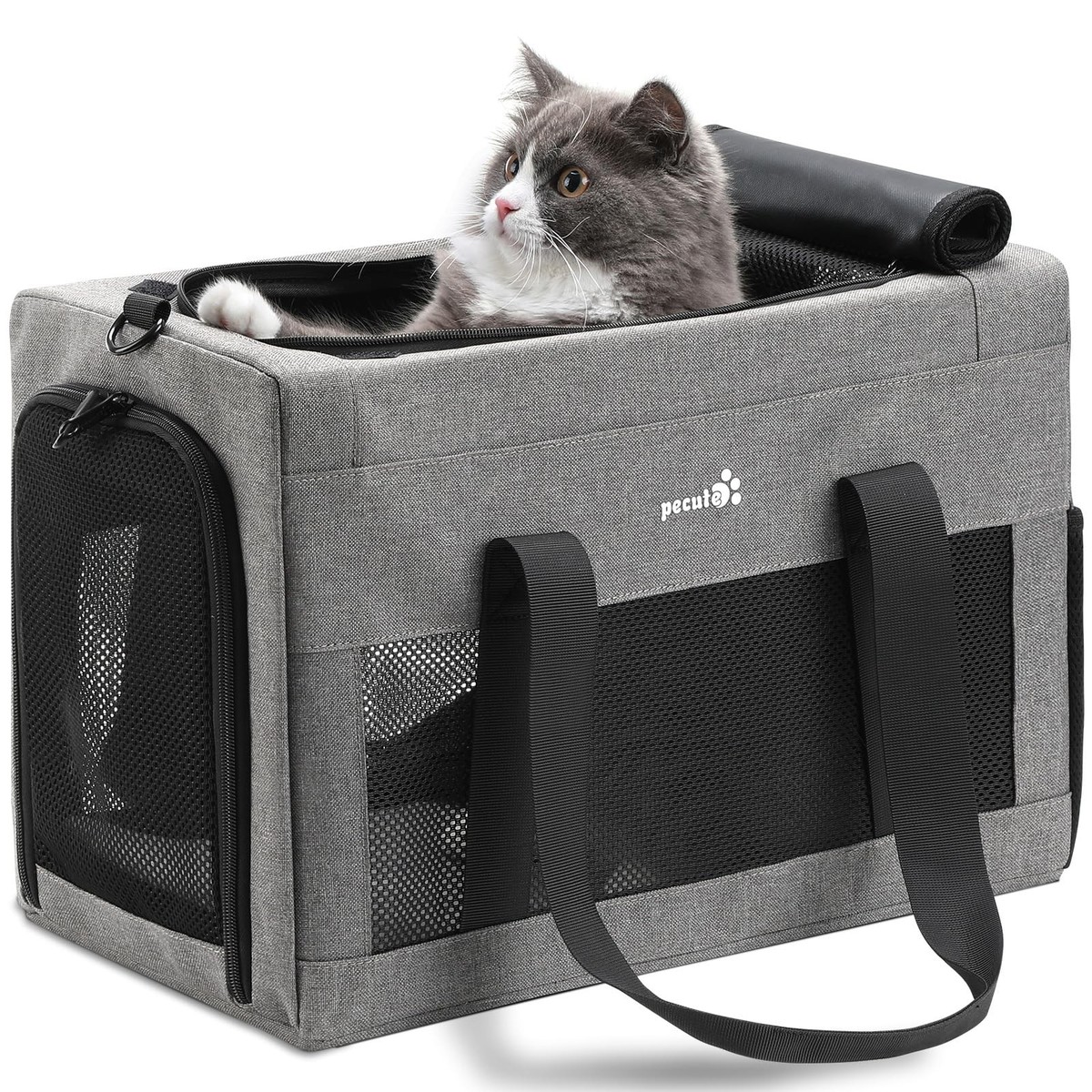 Cat Carrier Spirit Airlines Pet Carrier Top And Side Expandable