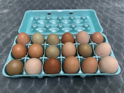 18+ Fresh & Fertile Chicken Hatching Eggs Barnyard Mix