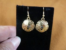 J-SAND-6) shiny 3/4" Sand dollar gold tone dangle earrings sea shell jewelry