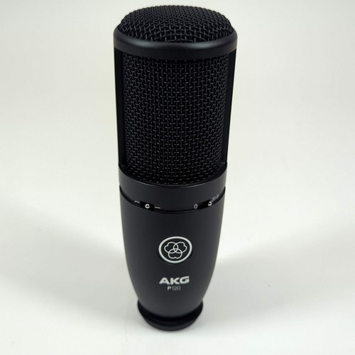 AKG P120