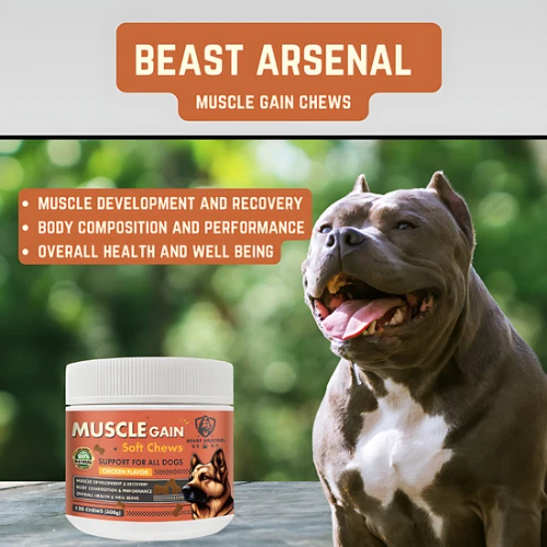 Dog Protein Muscle Gain Supplement Soft Chews Health - Image 2 of 4