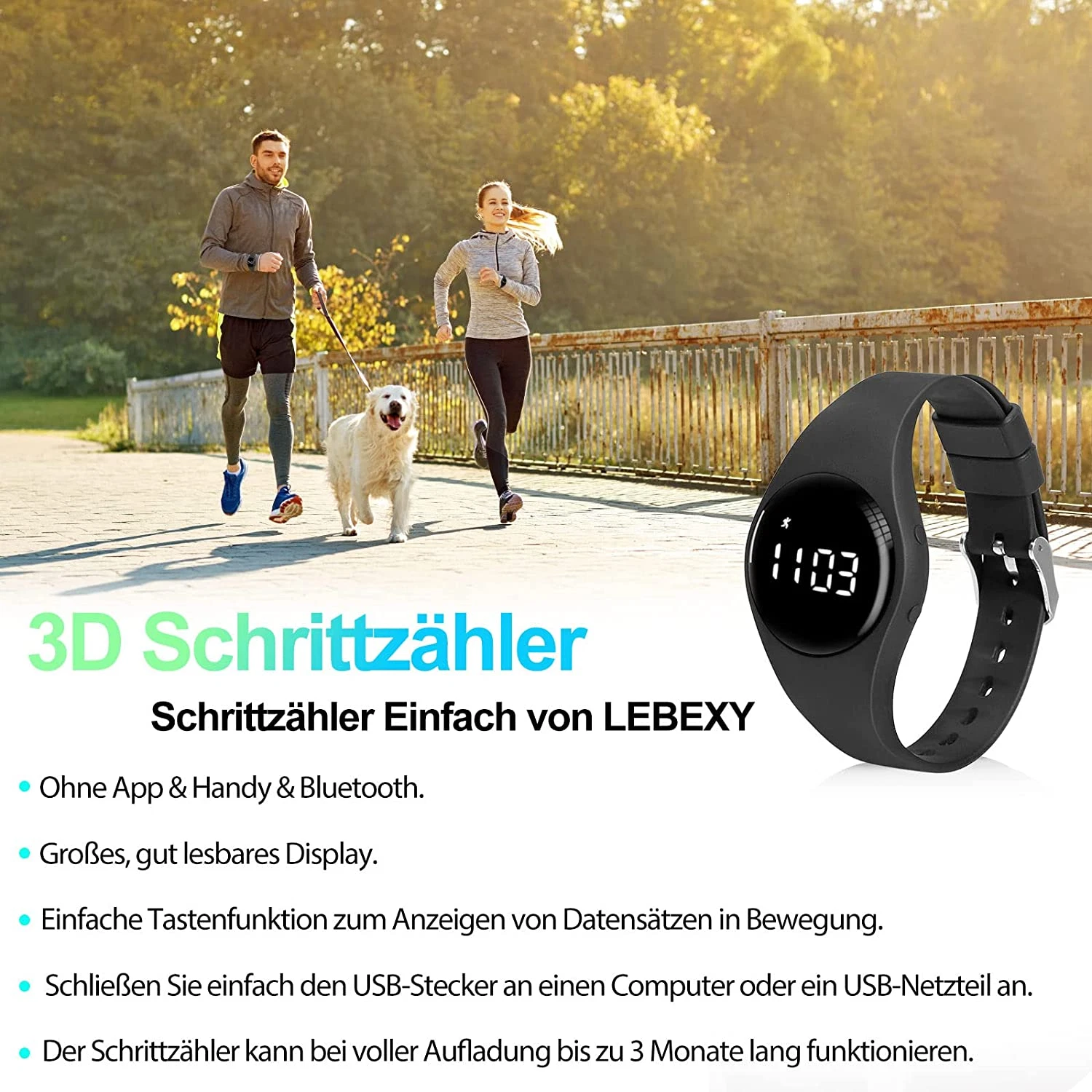 Bild 6 von 7