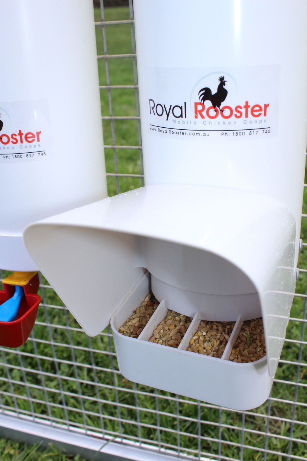 ROYAL ROOSTER Chicken / Poultry Coop Single Feeder Build A Chicken Coop