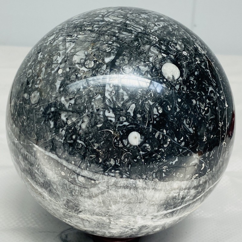 Natural Insectconch fossil crystal Ball Quartz Crystal Sphere Reiki Healing3600G