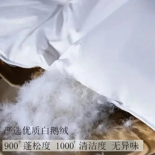 Edredón de plumón 95 plumón de ganso blanco cinco estrellas hotel cálido doble núcleo de edredón individual Foto 2 de 4