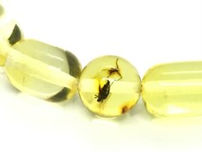 Baltic AMBER BRACELET With 2 Insects Gift Inclusion Round Barrel Beads 6,4g13441