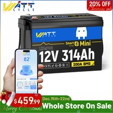 12V 314Ah 3584Wh 300Ah Bluetooth LiFePO4 Lithium Battery 200A BMS Solar RV Home