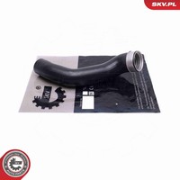 Esen SKV Ladeluftschlauch 24SKV521 FüR BMW X6 E71 E72 X5 E70 Xdrive