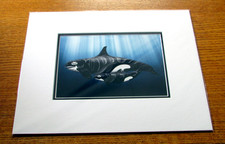 PROTECTION Orca & Calf, Salish art by Andy Everson - 11" x 14" Matted art print
