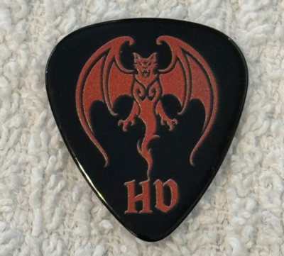 Hollywood Vampires ジョー・ペリー 2018 ギターピック Hollywood Vampires Joe Perry Tour Guitar Pick Depp 21 06 2023 ESCH