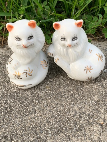 Vintage ALL WHITE PERSIAN Cats Kittens SET of 2 GOLD STAR Design UNIQUE ❤️sj17j - 第 4/8 張圖片