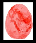 Bild 20 von 24