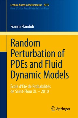 Franco Flandoli | Random Perturbation of PDEs and Fluid Dynamic Models | Buch