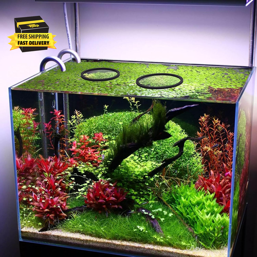5Pcs Fish Feeding Rings Set, Floating Aquarium Plant Corral, round Fish Feeder R - Picture 6 of 6