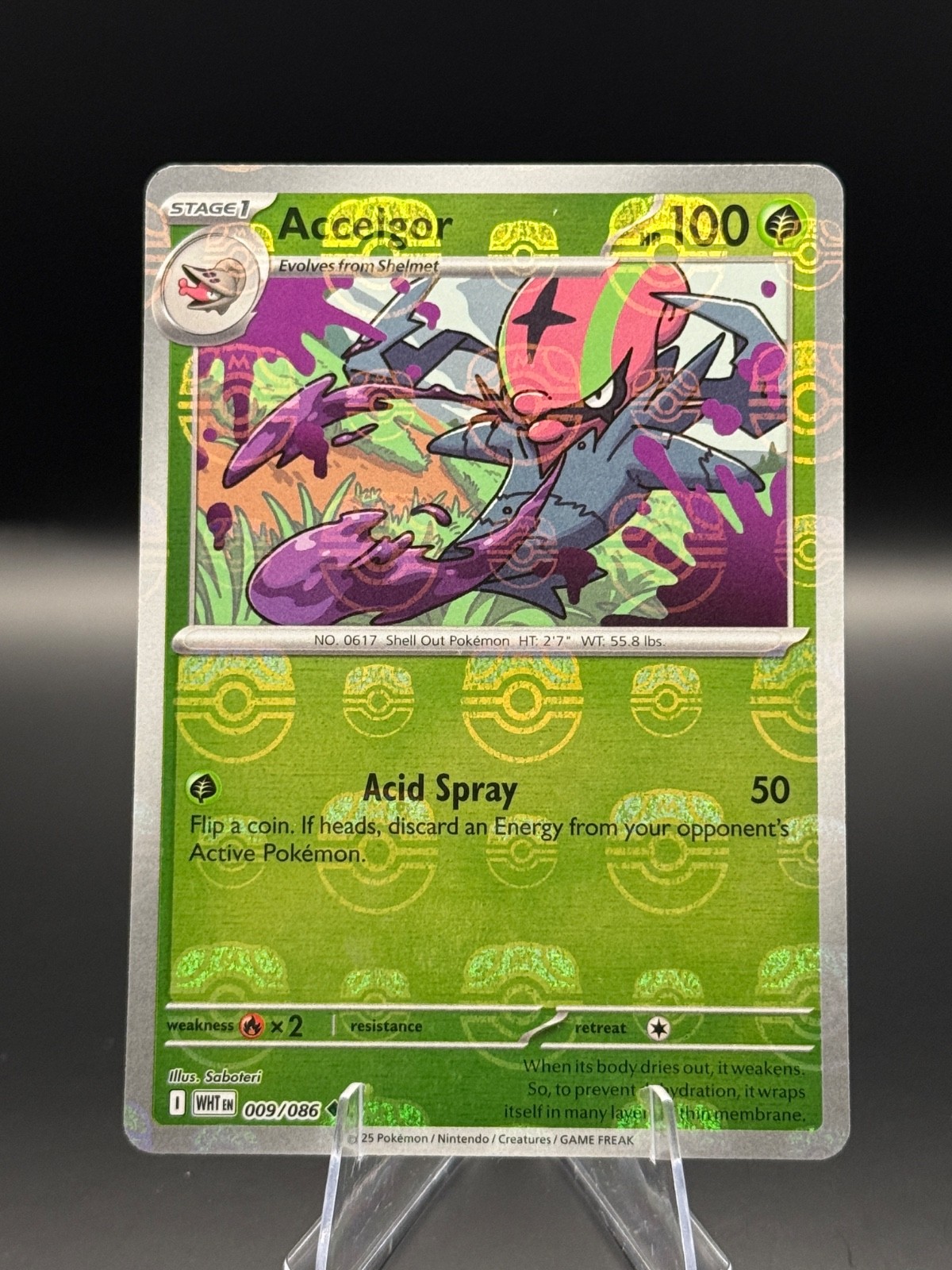 Accelgor (Master Ball Pattern) 009/086 SV: White Flare Holo NM