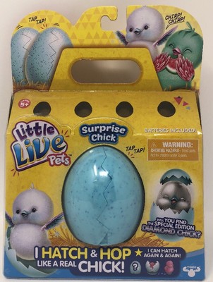 surprise chick little live pets