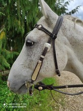 Showtrense Westerntrense Kopfstück