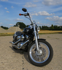 Harley Davidson Super Glide Customs Dyna