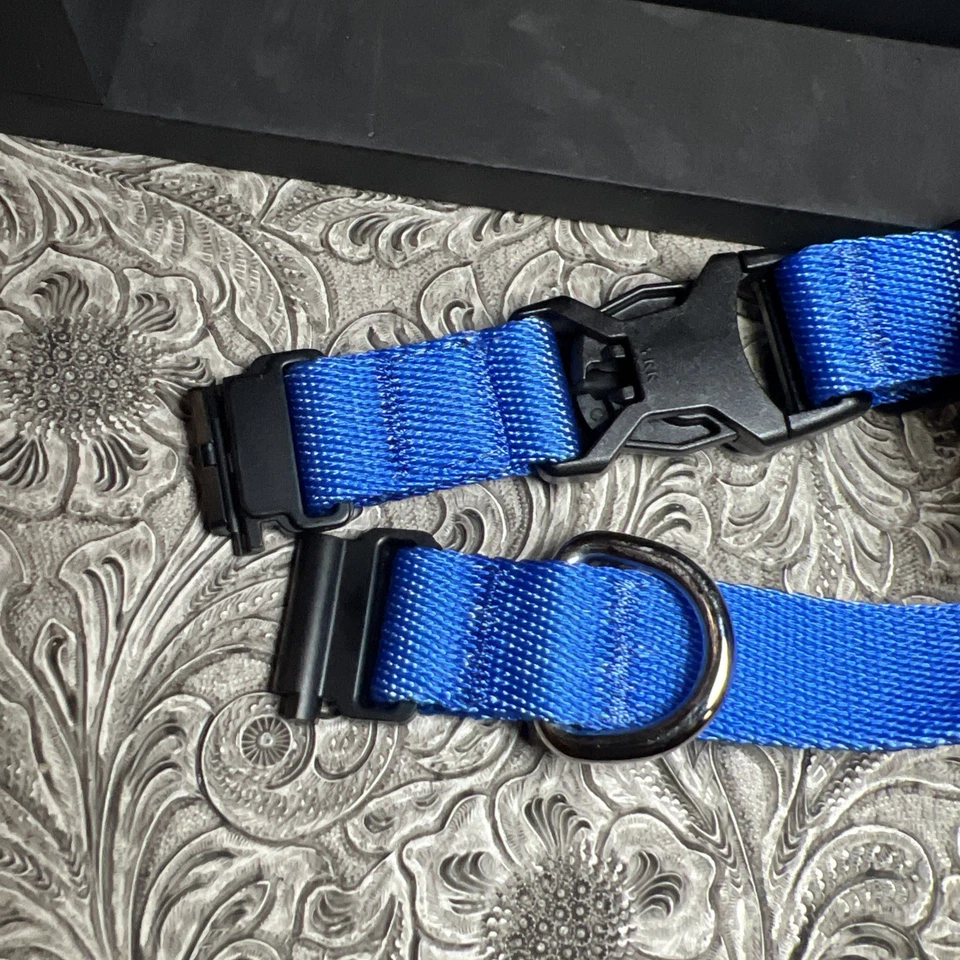 Coleira de cachorro pequena azul Fi Series 3 bandas apenas rastreamento - Imagem 4 de 4