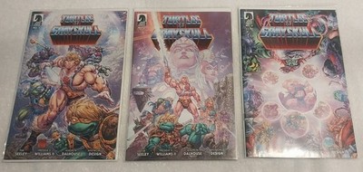 Dark Horse Turtles of Grayskull Comic Book Lot #1-3 TMNT He-Man