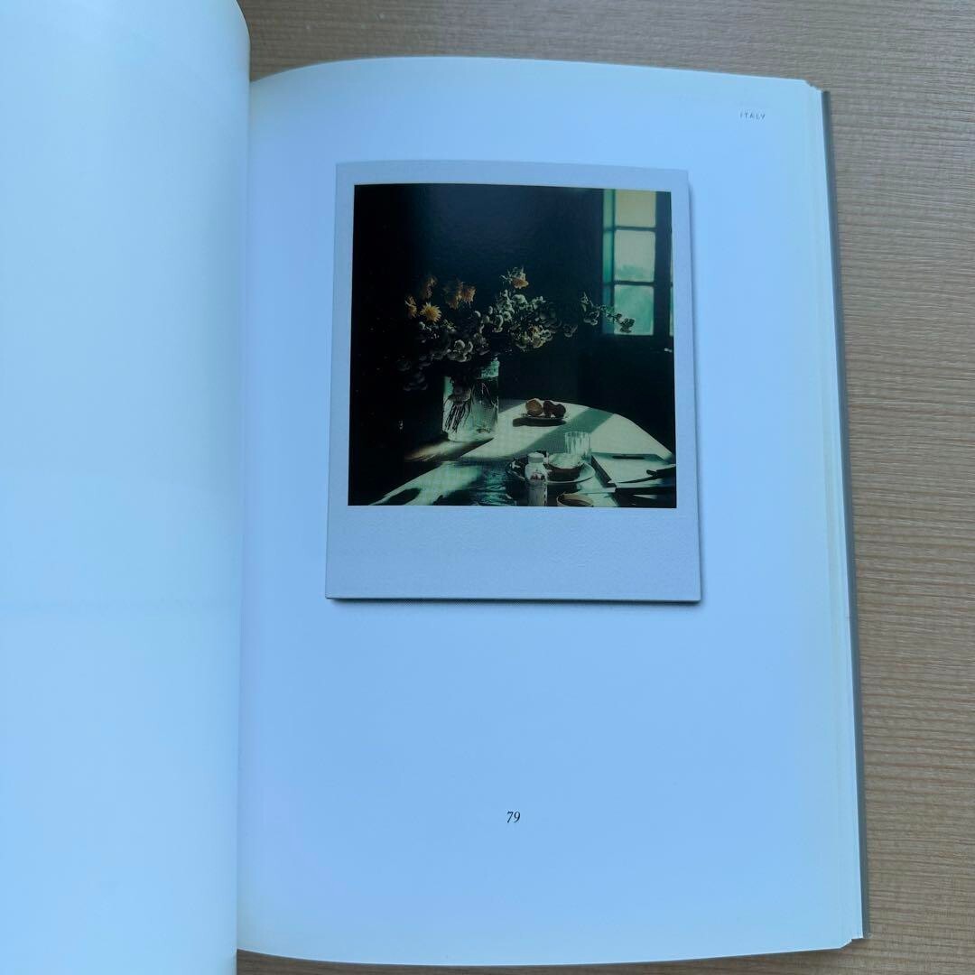 Instant Light Tarkovsky Polaroids photo book 2004 Rare used Instant Light Tarkovsky Polaroids photo book 2004 Rare used
