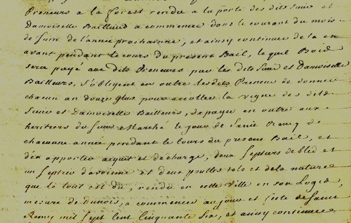 1754 GUIGNARD PEAN JOUNET bail la métairie Moutachery de Luz-en-Dunois, pigeons - Photo 4 sur 5