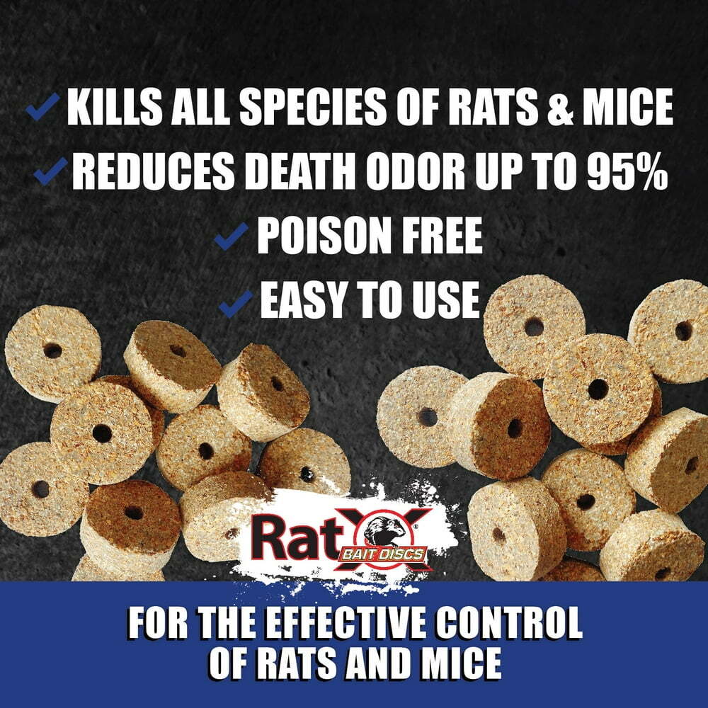 RatX Bait Discs