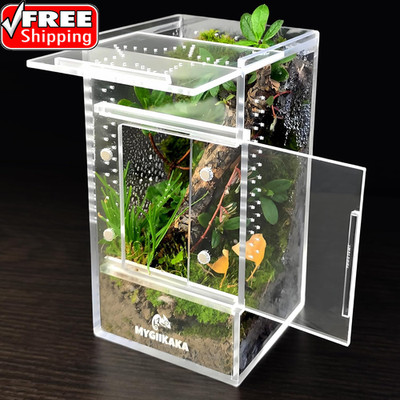 Jumping Spider Enclosure Accessories, Tarantula Spider Box, Bug Cage, Praying Ma