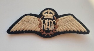 WW2 Royal Air Force RAF Pilots Wing Far East / Middle East With Pin