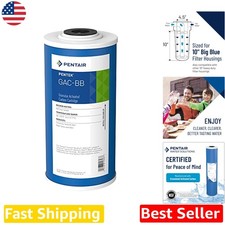 Pentair Big Blue 10" Water Filter: Granular Activated Carbon, Pure Taste