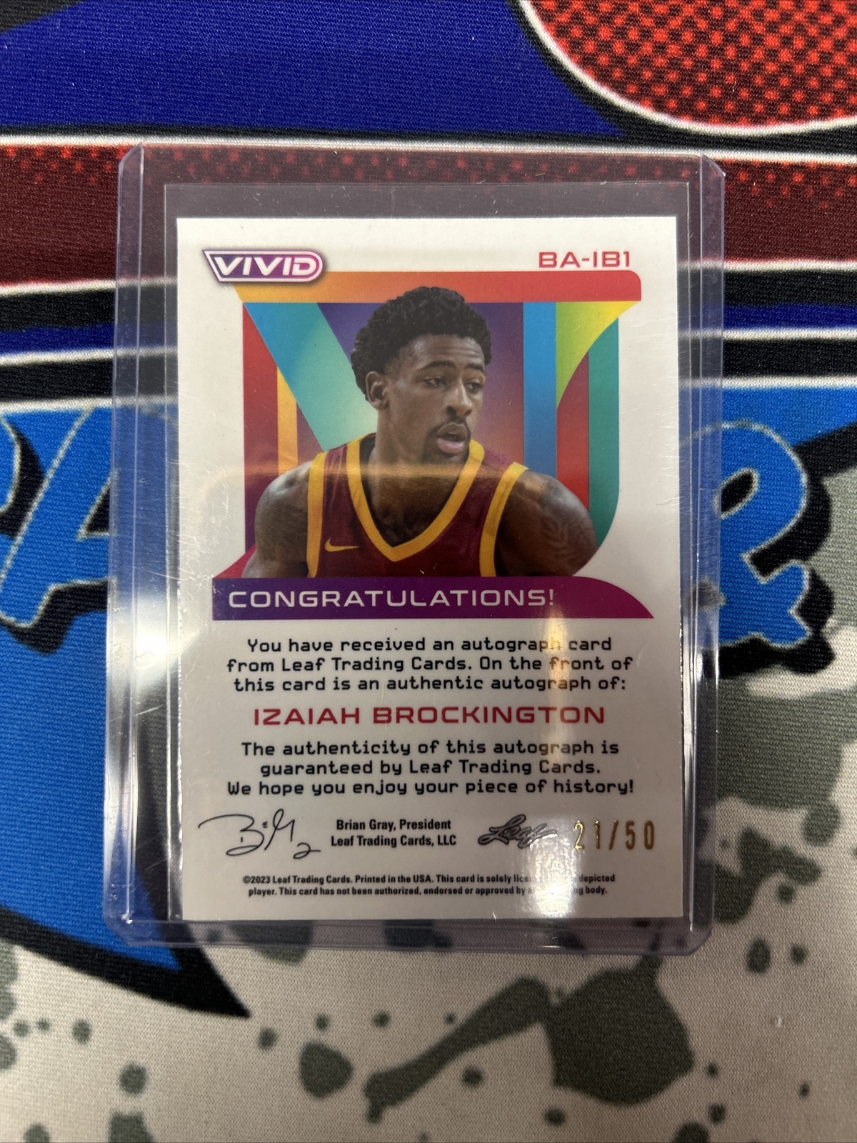 2023 Leaf Vivid Basketball - Rookie - Autograph - Gabe Brown 21/50 | eBay