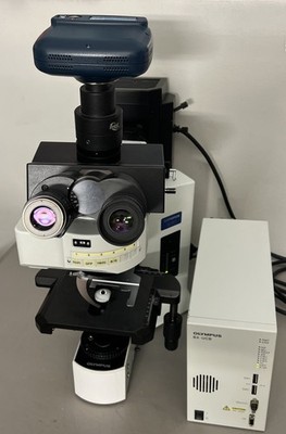 Olympus BX61 BX61TRF Motorized Fluorescence Microscope with Camera