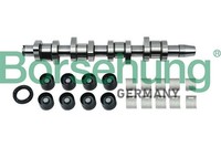 Nockenwellensatz Borsehung B18664 FÜR Audi Seat Skoda VW