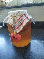 170g Gesund gewachsener Kombucha,Schwarz Tee Pilz, lebendig, vital, aktiv,15 Cm