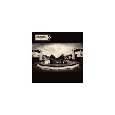 NOEL GALLAGHER'S HIGH FLYING BIRDS: COUNCIL SKIES - CD