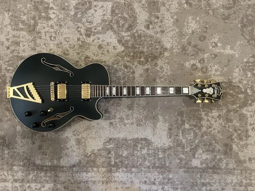 D’angelico EX-SS Semi-hollow body electric guitar