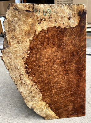 Mammoth Amboyna Burl Live Edge Table Tops Humidors Cues Handles Plane Interiors