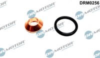 Dr.Motor Automotive DRM0256 Dichtungssatz, InjektordüSe FüR Opel