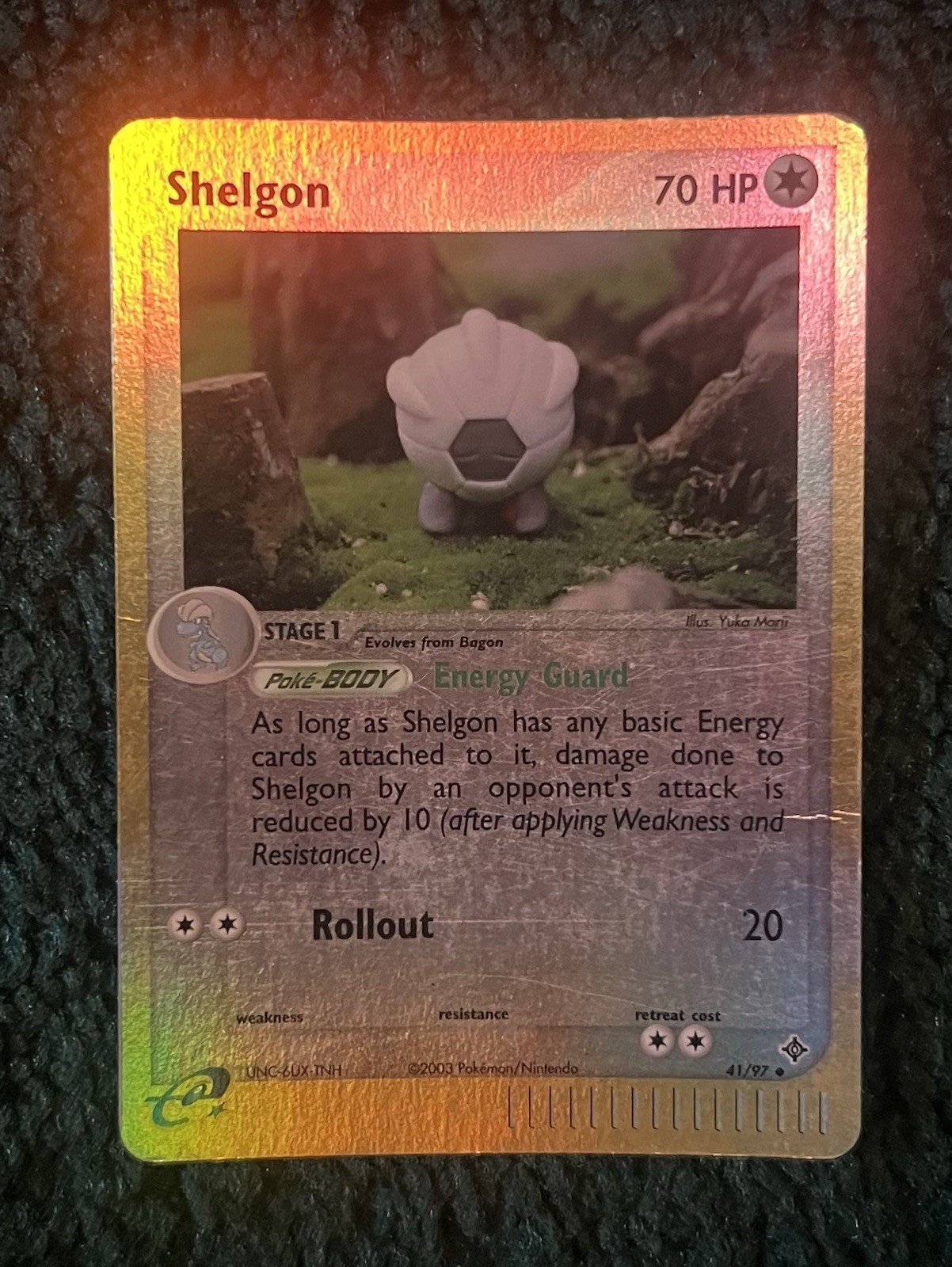 Pokemon Shelgon Reverse Holo EX Dragon 41/97 Card