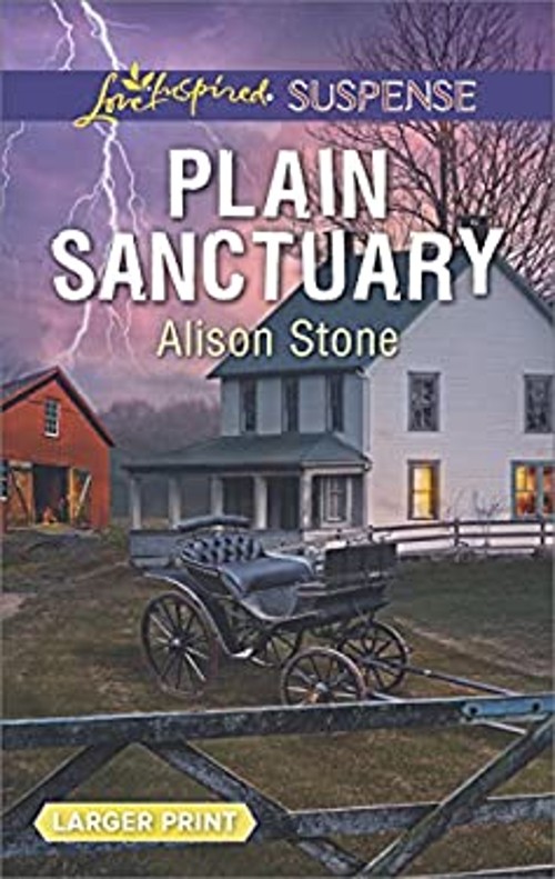 Plain Sanctuary Mass Market Paperbound Alison StoneFree US Delivery | ISBN:0373678118