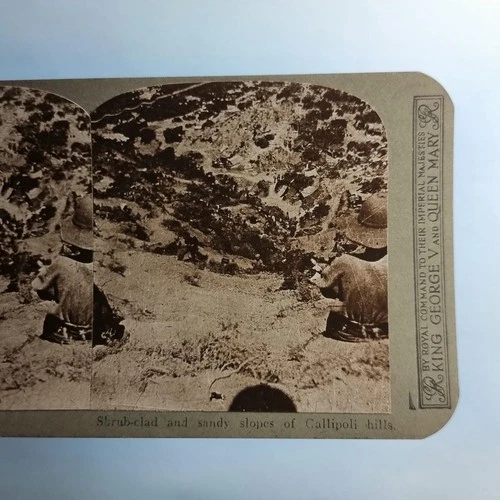 WW1 Military Stereoview C1916 Real Photo Turkey Gallipoli Scrub Covered Slopes