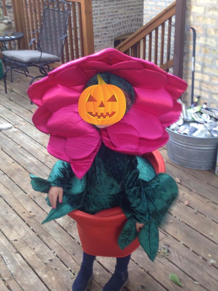 CHASING FIREFLIES SZ 4 FLOWER POT POTTED PLANT COSTUME 3 PC 3D POT/FLOWER/PANTS  | eBay