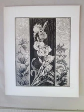 Vintage Print,ART NOUVEAU FLORALS,31,Jean Pilters,Florales,c1900
