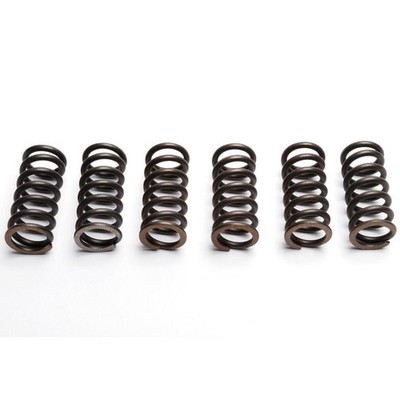 EBC Clutch Spring Set (6 PCS) Yamaha XS 250 E 1978 - 1980