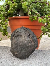 One Large Lava Bomb Fragment – Perfect for Terrariums, Aquariums, Succulents