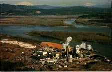 Boise Cascade's St. Helens Mill Multnomah Channel ID Vintage Postcard C48