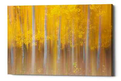 Epic Graffiti ''Changing Seasons'' by Darren White, Giclee Canvas Wall Art
