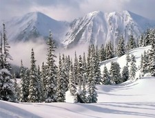 Landscape nature winter trees snow cold ice frost Custom Gaming Mat Desk