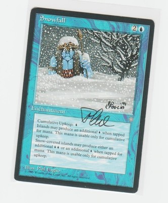 Magic the Gathering ~ Snowfall ~ LP ~ Ice Age ~ Signed by Artist #2